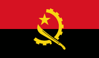 private investigator in Angola