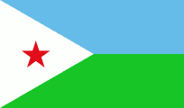 private investigator in Djibouti
