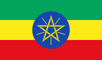 private investigator in Ethiopia