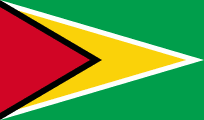 private investigator in Guyana