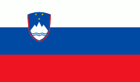 private investigator in Slovenia