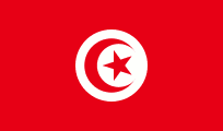 private investigator in Tunisia